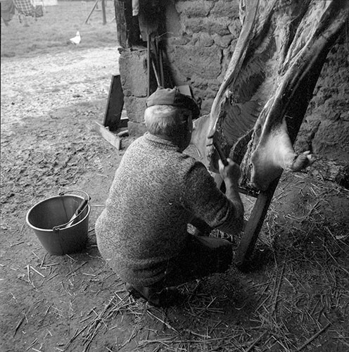 La journée du Cochon