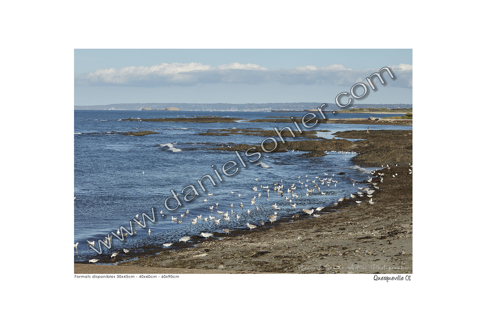 Photoggraphies de paysage