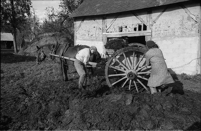 Le fumier dans l'Baniau