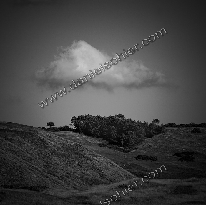 Création Noir&Blanc