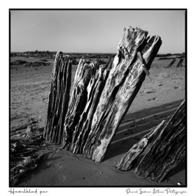 Création photographique noir et blanc argentique