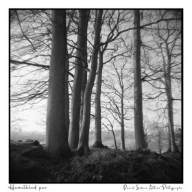Création photographique noir et blanc argentique