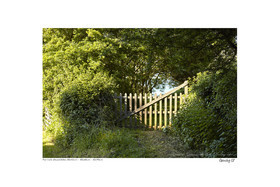 Photoggraphies de paysage