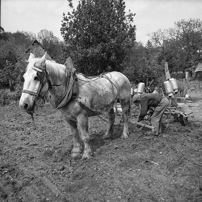 Le champ derrière la ferme