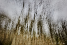 ICM Paysage