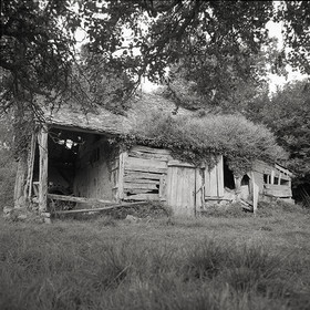 Création Noir&Blanc
