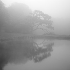 Création Noir&Blanc