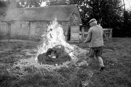La journée du Cochon