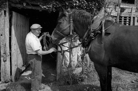 Le fumier dans l'Baniau
