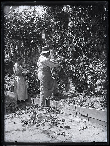 Plaques de verre 1910