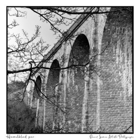 Création photographique noir et blanc argentique