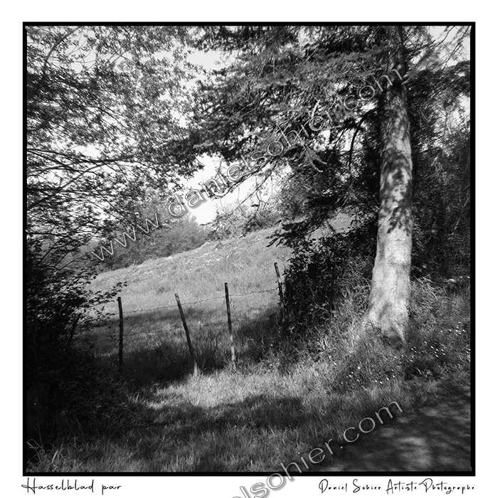 Création photographique noir et blanc argentique