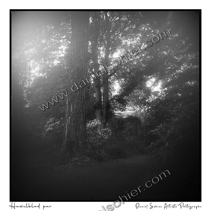 Création photographique noir et blanc argentique