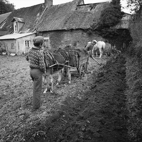Le champ derrière la ferme