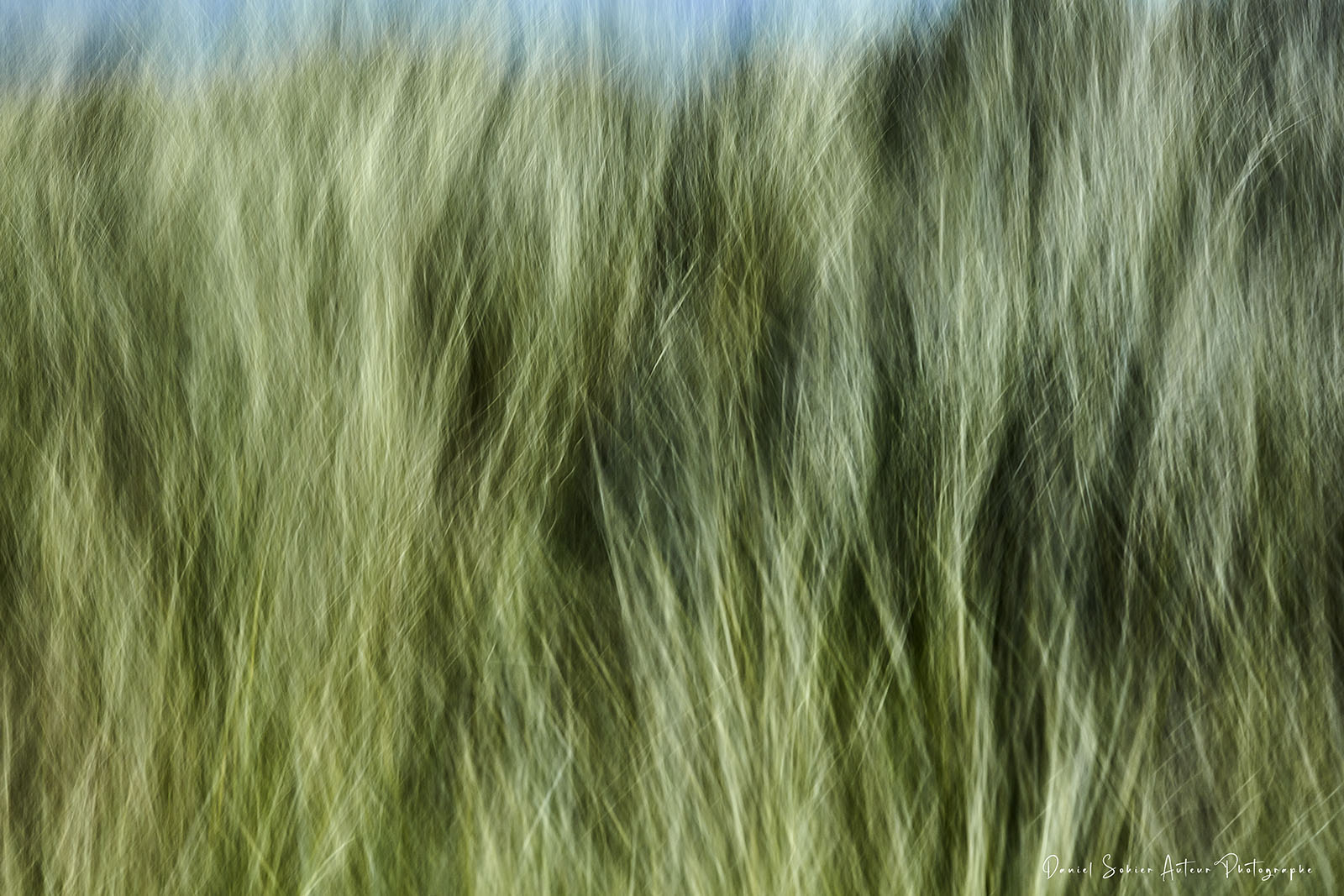 ICM Nature