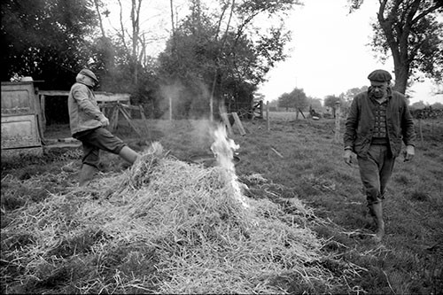 La journée du Cochon