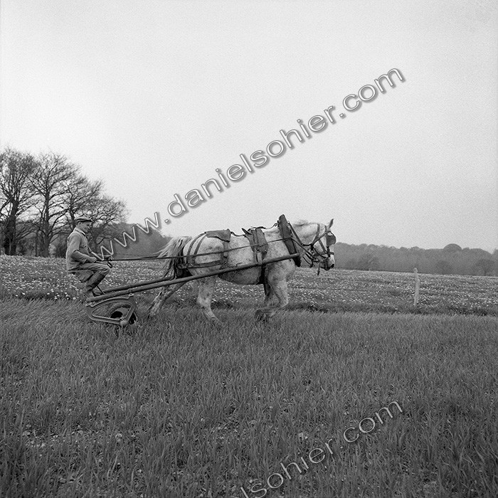 Le travail des champs