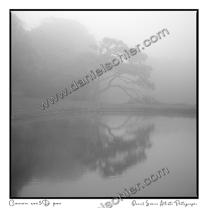 Création photographique noir et blanc argentique