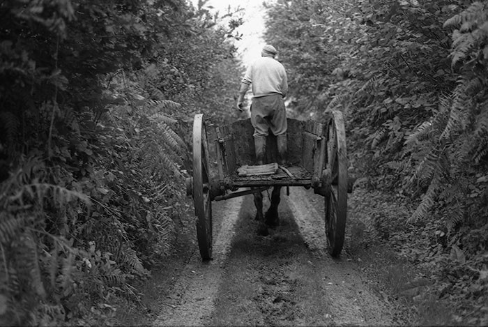 Le fumier dans l'Baniau