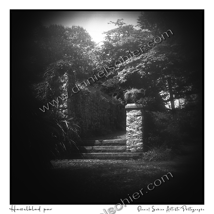 Création photographique noir et blanc argentique