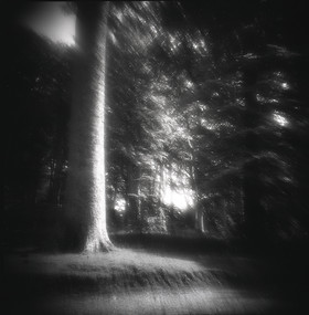 Création Noir&Blanc