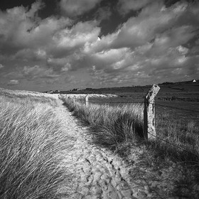 Création Noir&Blanc