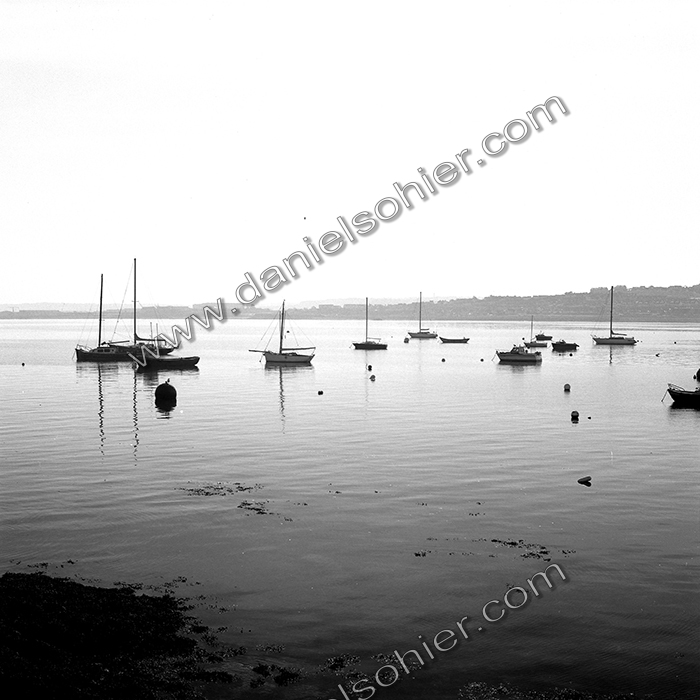 Création Noir&Blanc