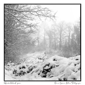 Création photographique noir et blanc argentique