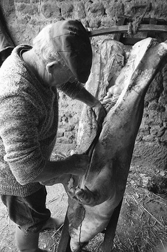 La journée du Cochon