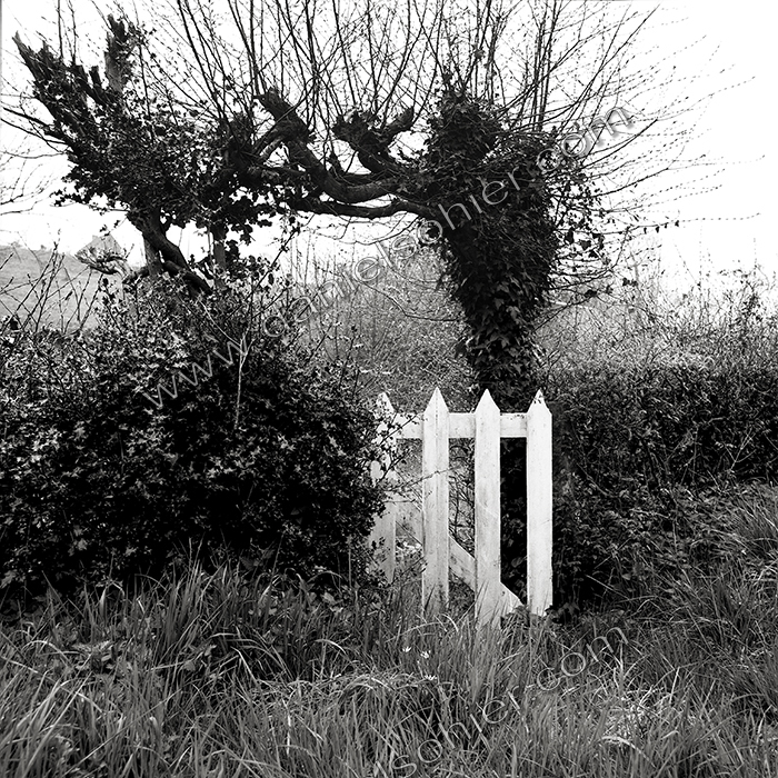 Création Noir&Blanc