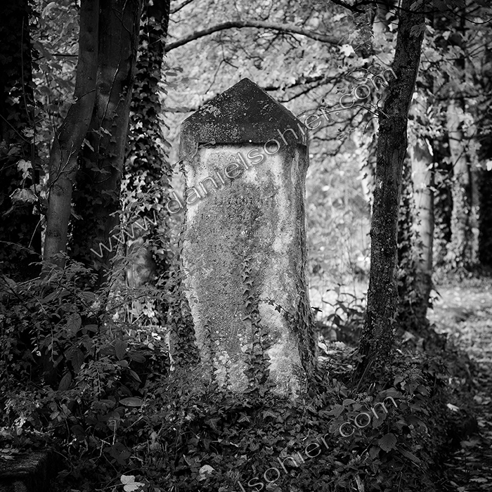 Création Noir&Blanc