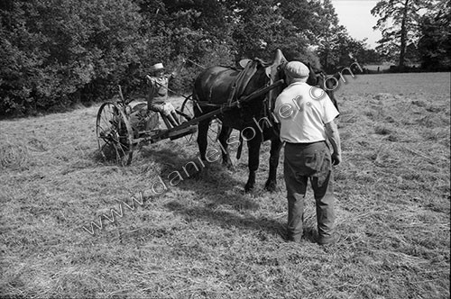 Reportage sur les foins