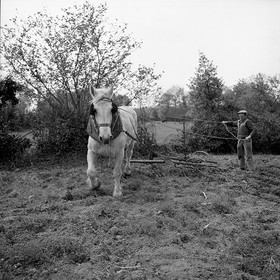 Le champ derrière la ferme