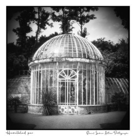Création photographique noir et blanc argentique