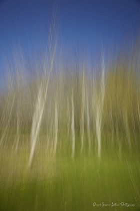 ICM Paysage