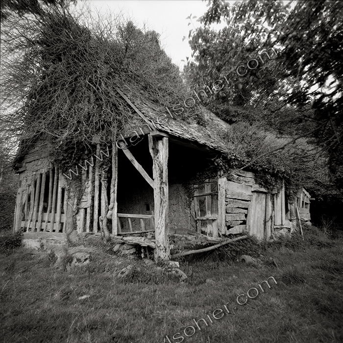 Création Noir&Blanc
