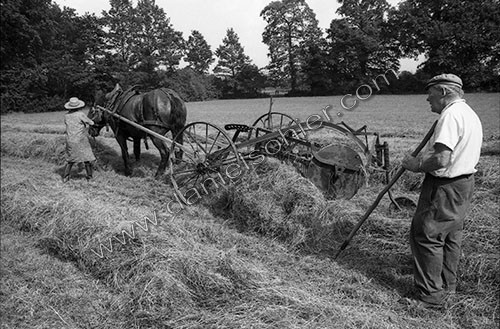 Reportage sur les foins