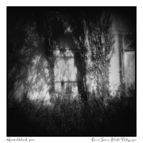 Création photographique noir et blanc argentique