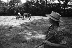 Reportage sur les foins