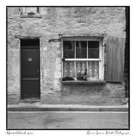 Création photographique noir et blanc argentique