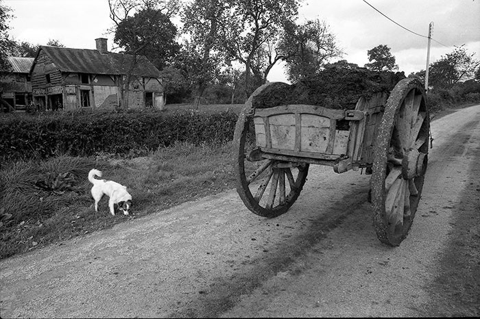 Le fumier dans l'Baniau