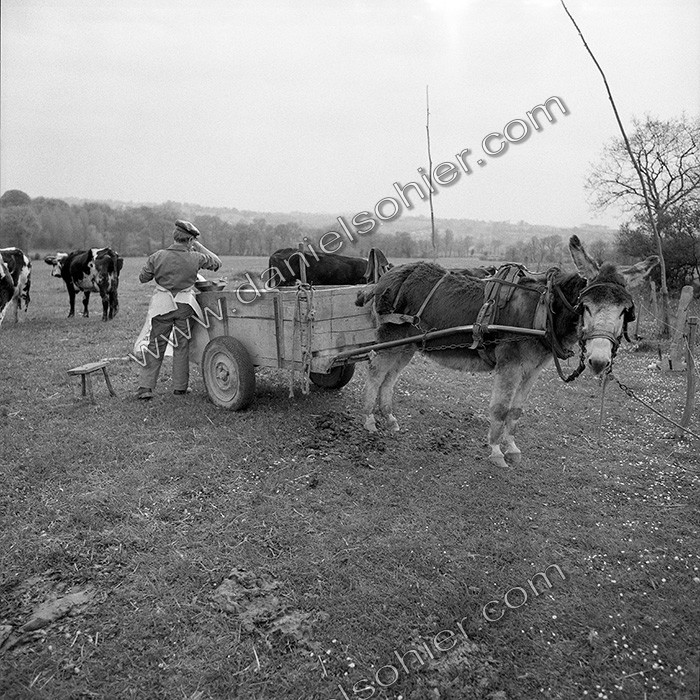 Traite dans les champs