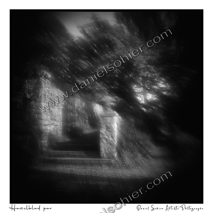 Création photographique noir et blanc argentique