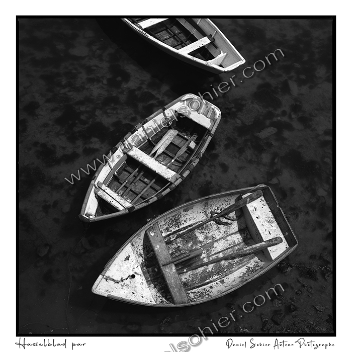 Création photographique noir et blanc argentique