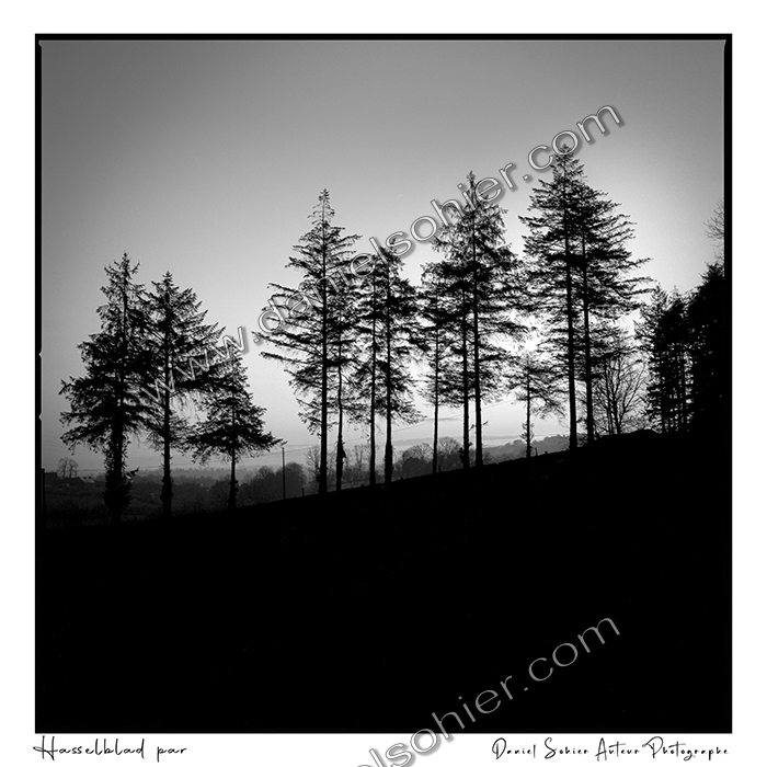 Création photographique noir et blanc argentique