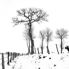 NOIR & BLANC