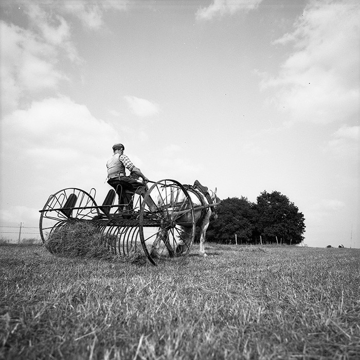 Le travail des champs