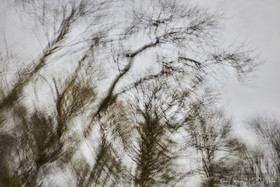 ICM Paysage