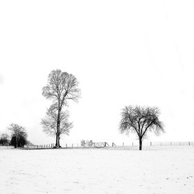NOIR & BLANC