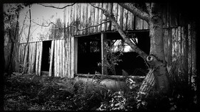 Site Simon Freres